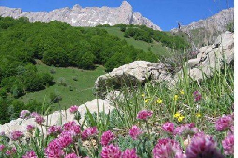 Location de vacances - Appartement à Superdévoluy