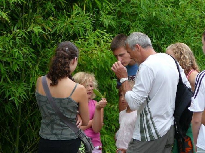 Location de vacances - Gîte à Montréal - balade
