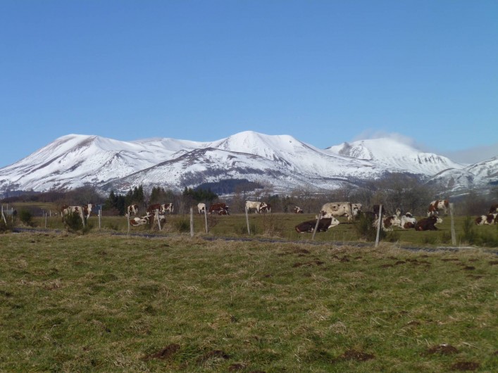 Location de vacances - Maison - Villa à Saint-Victor-la-Rivière - Chaîne des Mont- Dore