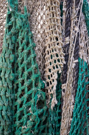 Location de vacances - Chambre d'hôtes à Les Loges - Honfleur