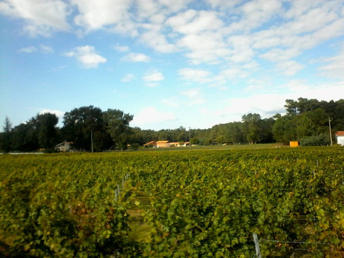 Location de vacances - Maison - Villa à Jau-Dignac-et-Loirac - implantation