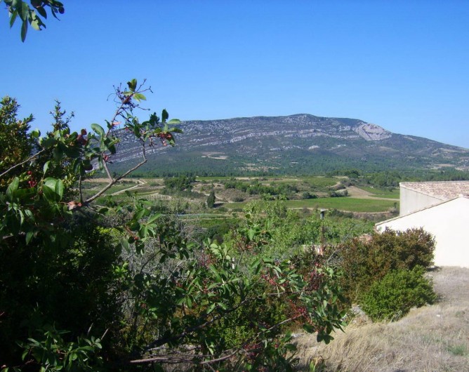 Location de vacances - Gîte à Ribaute - Quand la montagne d'Alaric veille sur le village.