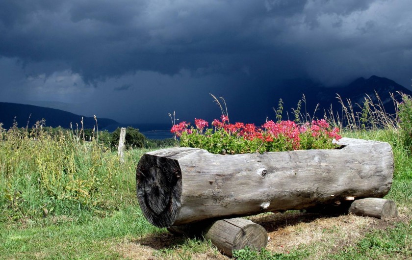 Location de vacances - Studio à Saint-Eustache