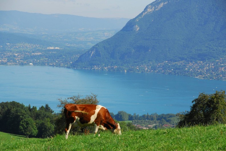 Location de vacances - Studio à Saint-Eustache
