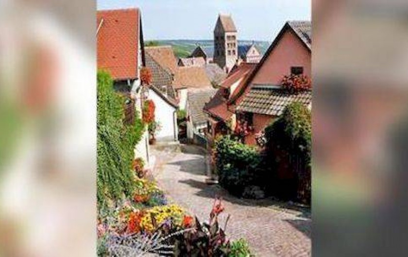 Location de vacances - Hôtel - Auberge à Gueberschwihr