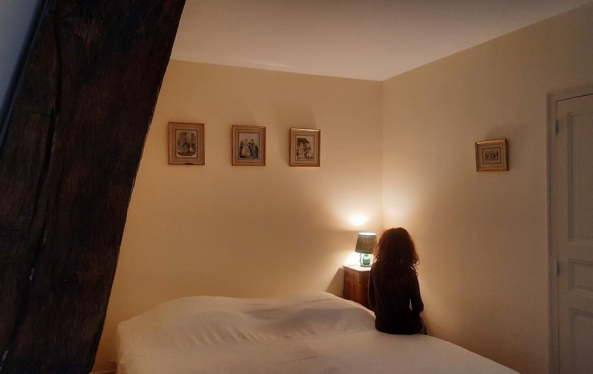 Location de vacances - Château - Manoir à Buzançais