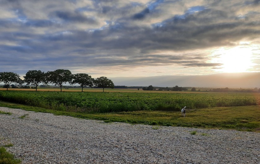 Location de vacances - Château - Manoir à Buzançais