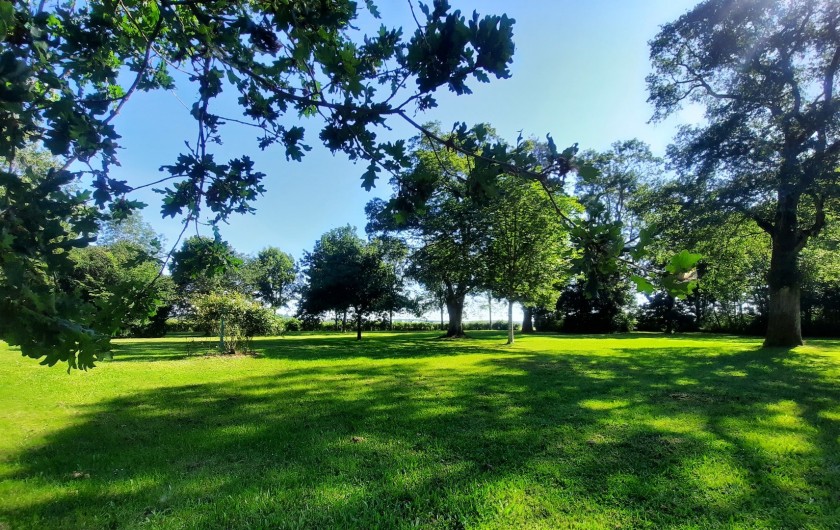 Location de vacances - Château - Manoir à Buzançais