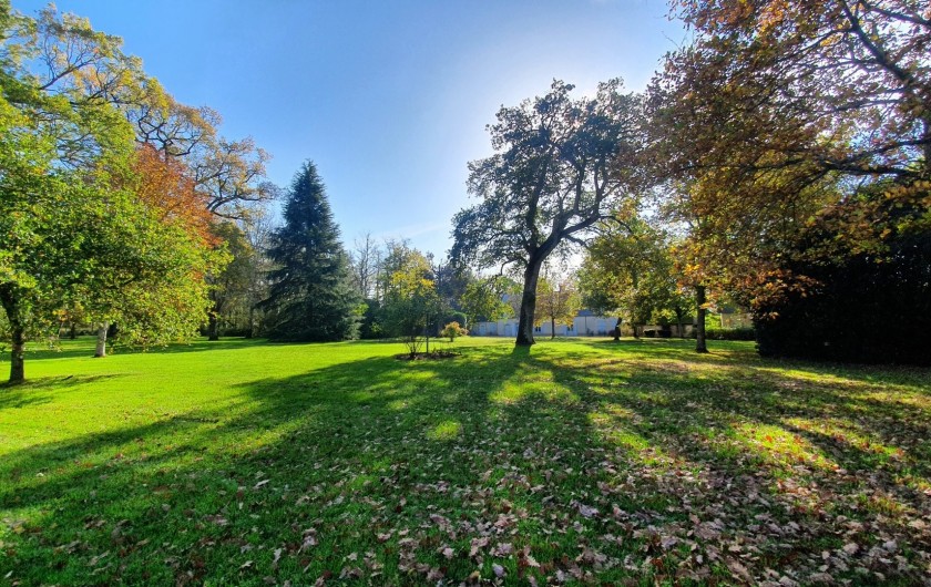 Location de vacances - Château - Manoir à Buzançais