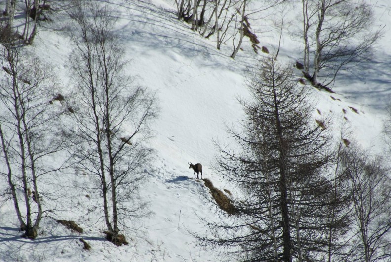 Location de vacances - Maison - Villa à La Grave - Chamois