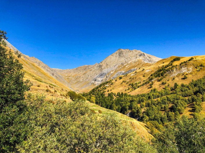 Location de vacances - Maison - Villa à La Grave - La vue depuis la terrasse