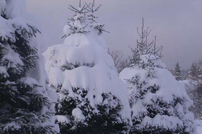 Location de vacances - Appartement à Les Rousses