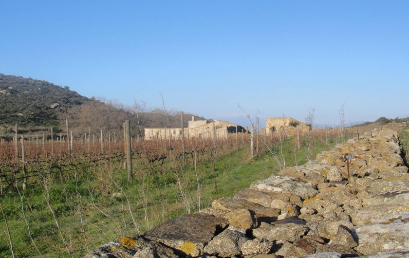 Location de vacances - Appartement à Empuriabrava - PARC NATUREL DU CAP DE CREUS : nombreuses ballades dans vignes, oliviers...