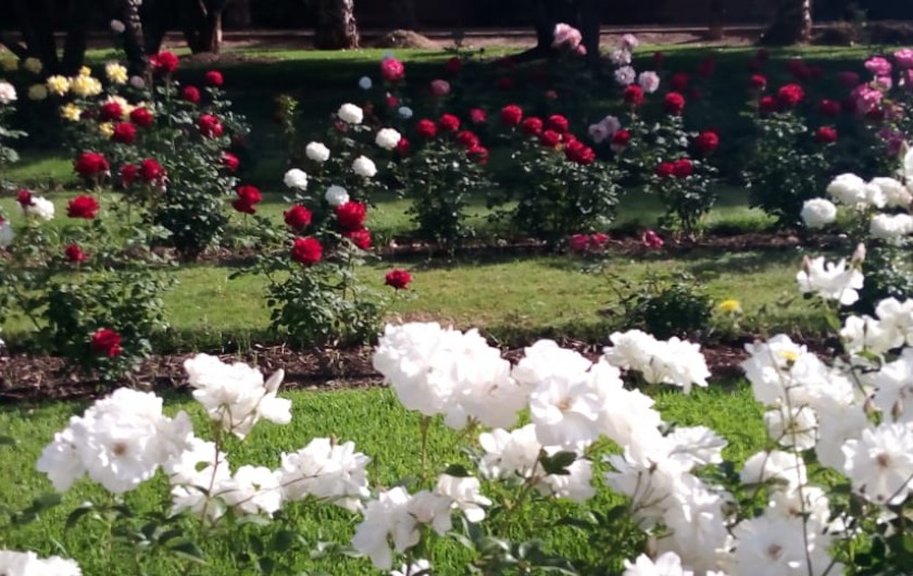 Location de vacances - Chambre d'hôtes à Oulad Snaguia