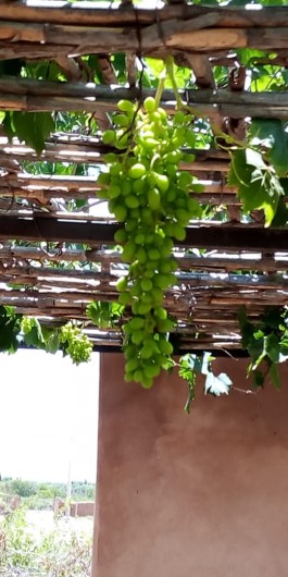 Location de vacances - Chambre d'hôtes à Oulad Snaguia