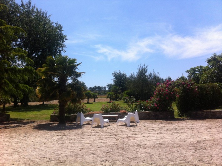 Location de vacances - Mas à Sainte-Marine - La vue de la maison vers dune ( vers la dune dans le fond)
