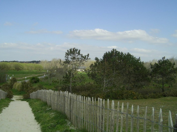 Location de vacances - Mas à Sainte-Marine - La maison vue du haut de la dune et de la plage