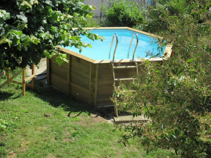 Location de vacances - Gîte à Fauch - piscine dans le jardin