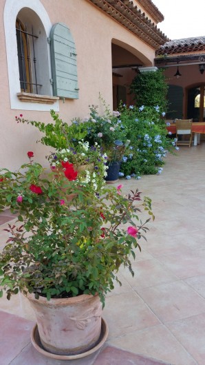 Location de vacances - Chambre d'hôtes à Cotignac