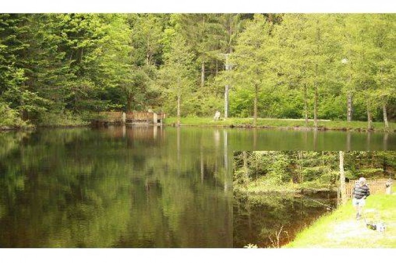 Location de vacances - Bungalow - Mobilhome à Granges-sur-Vologne