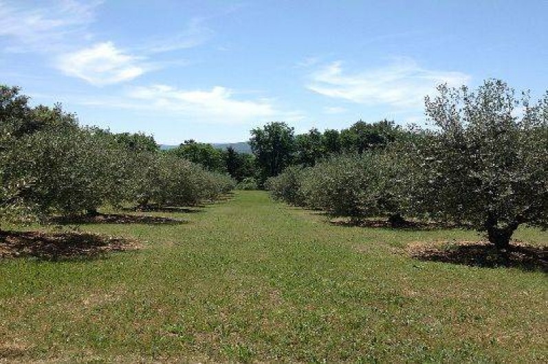 Location de vacances - Gîte à Cadenet
