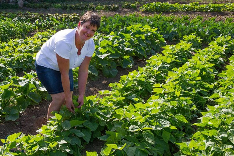 Location de vacances - Gîte à Le Pont-de-Montvert - Jardin