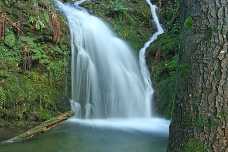 Location de vacances - Gîte à Le Pont-de-Montvert - Cascade