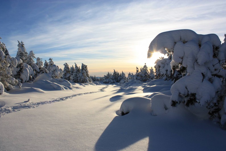 Location de vacances - Gîte à Le Pont-de-Montvert - Neige hiver