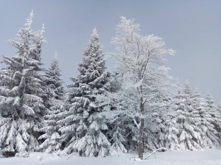 Location de vacances - Gîte à Le Pont-de-Montvert - Neige Lozère 1