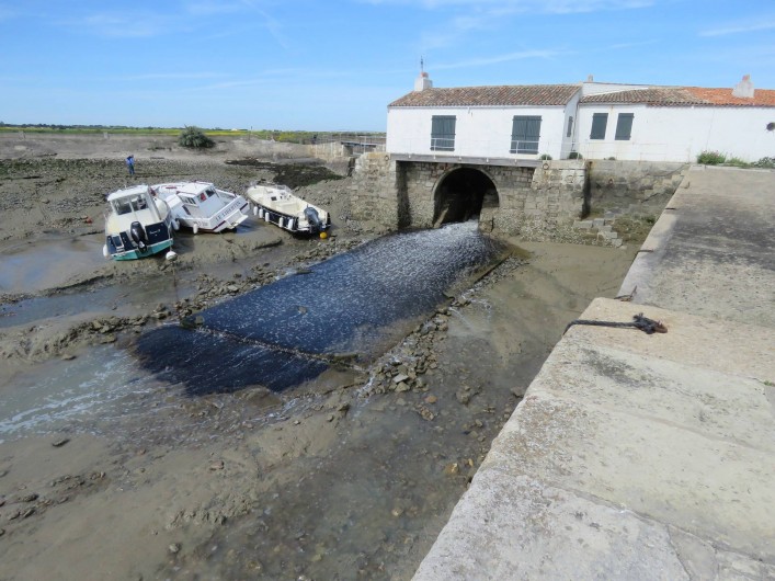 Location de vacances - Villa à Ars-en-Ré - Moulin à marée Loix en Ré