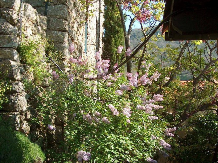 Location de vacances - Gîte à Valleraugue