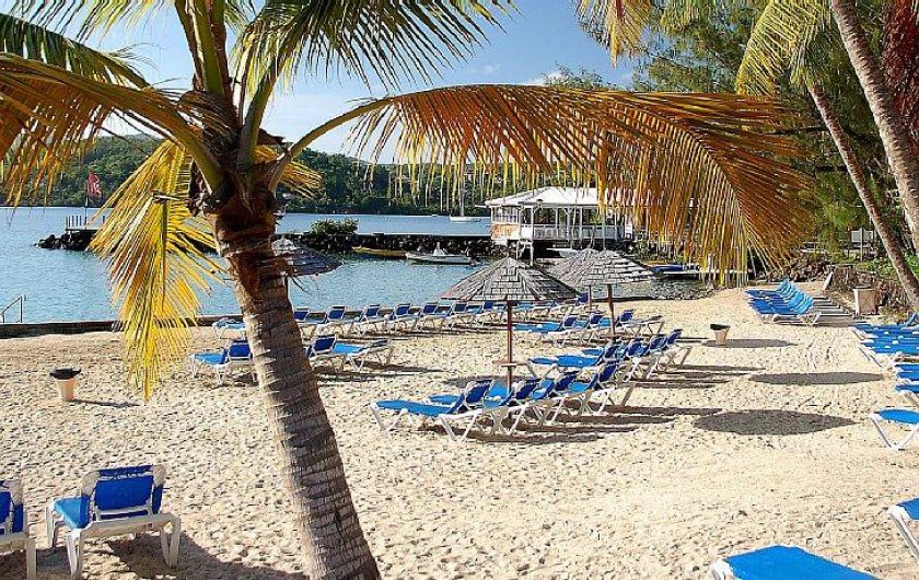 Location de vacances - Studio à Pointe du Bout