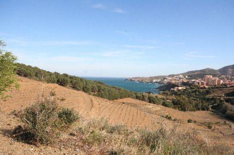 Location de vacances - Appartement à Banyuls-sur-Mer - Vue depuis les hauteurs