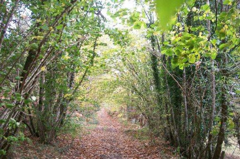 Location de vacances - Gîte à Jumilhac-le-Grand