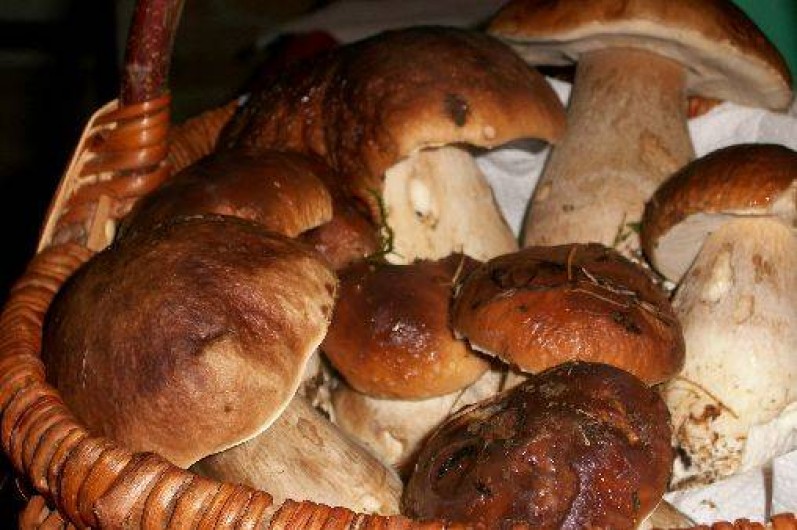 Location de vacances - Gîte à Jumilhac-le-Grand