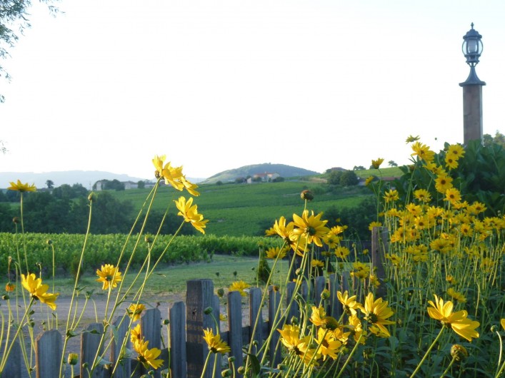 Location de vacances - Maison - Villa à Saint-Étienne-des-Oullières - View from the garden across the property playing field