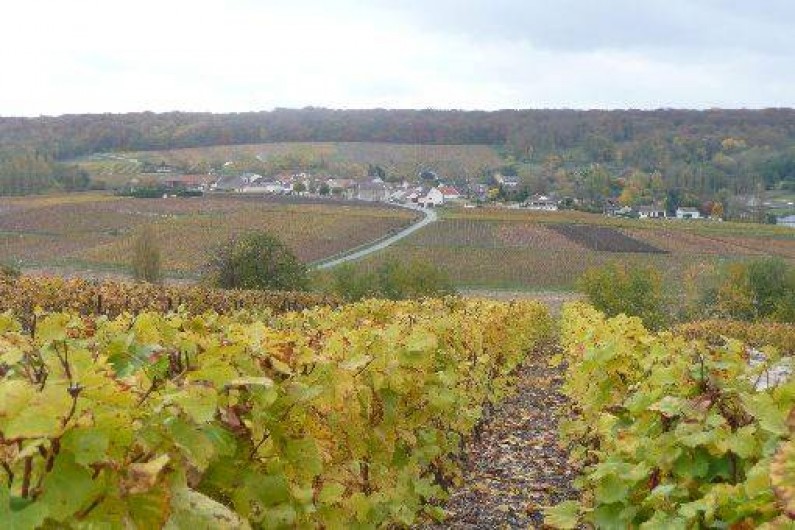 Location de vacances - Roulotte à Romery