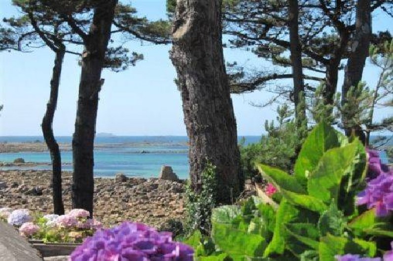 Location de vacances - Maison - Villa à Penvénan