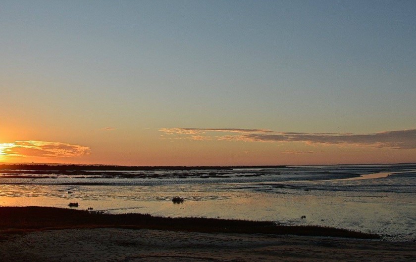 Location de vacances - Chambre d'hôtes à Lanton