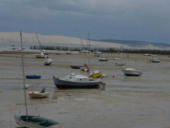 Location de vacances - Chambre d'hôtes à Lanton