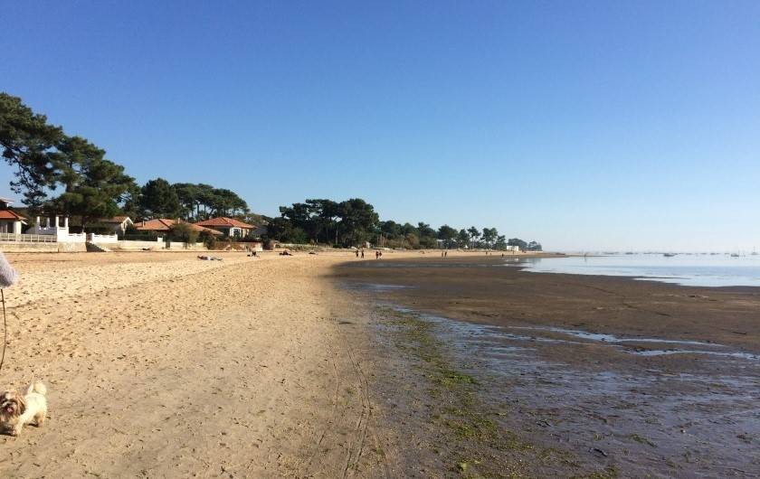 Location de vacances - Chambre d'hôtes à Lanton