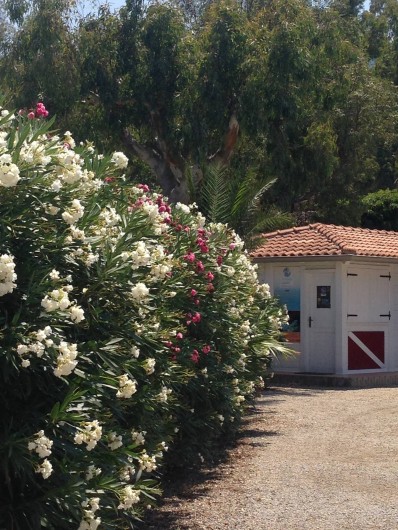 Location de vacances - Bungalow - Mobilhome à Monforte San Giorgio