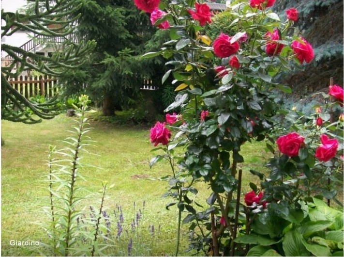 Location de vacances - Maison - Villa à Aymavilles