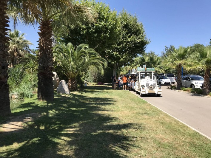 Location de vacances - Camping à Argelès-sur-Mer