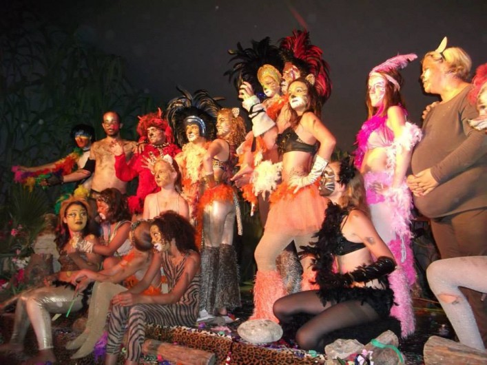 Location de vacances - Camping à Argelès-sur-Mer - Spectacle