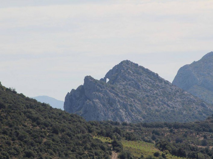 Location de vacances - Appartement à Canet-en-Roussillon - PAYSAGE TYPIQUE DES CORBIERES