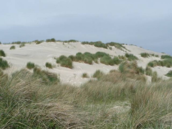 Location de vacances - Villa à Formerum - Les dunes