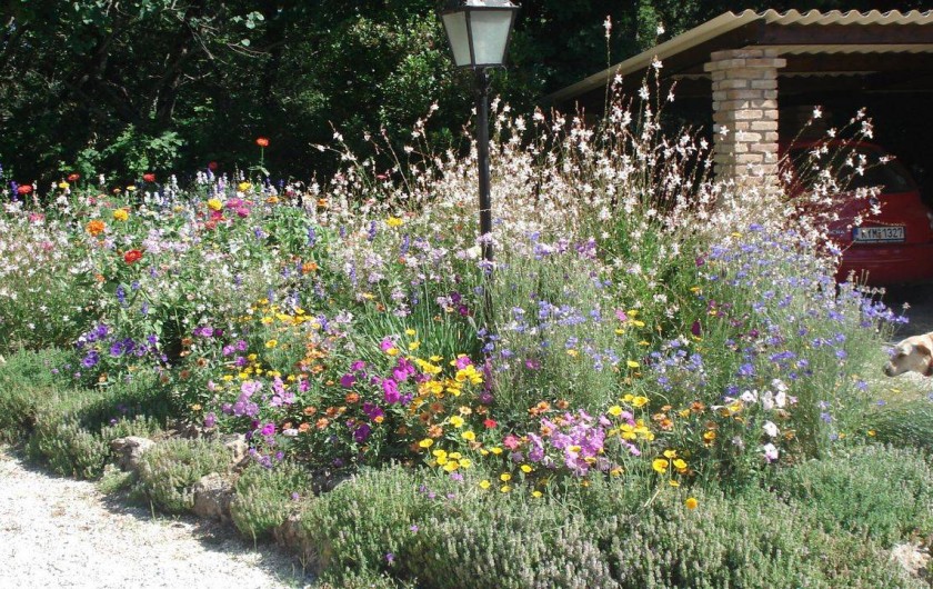 Location de vacances - Gîte à Corfu
