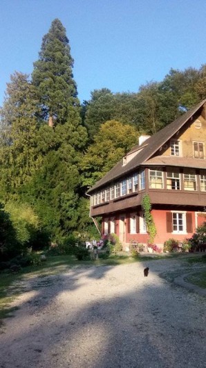 Location de vacances - Appartement à Munster