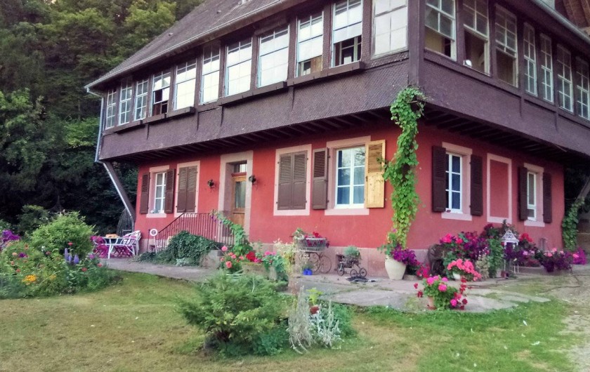 Location de vacances - Appartement à Munster